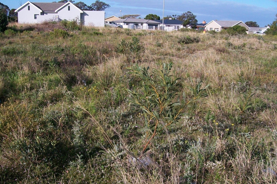 0 Bedroom Property for Sale in Fountains Estate Eastern Cape